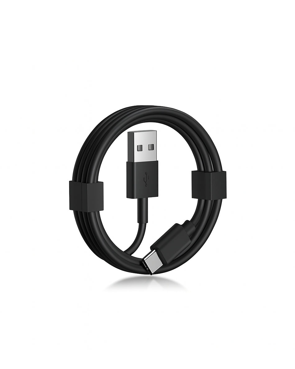 IONS Therapy USB - Type C Lead